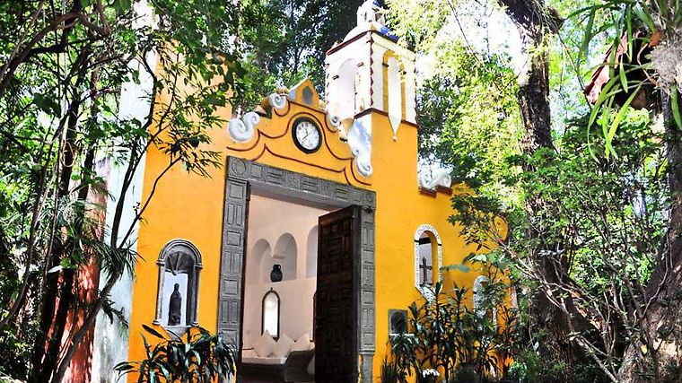 HOTEL LA CASA DE LOS ARBOLES CUERNAVACA 5* (México) - desde 2816 MXN |  BOOKED